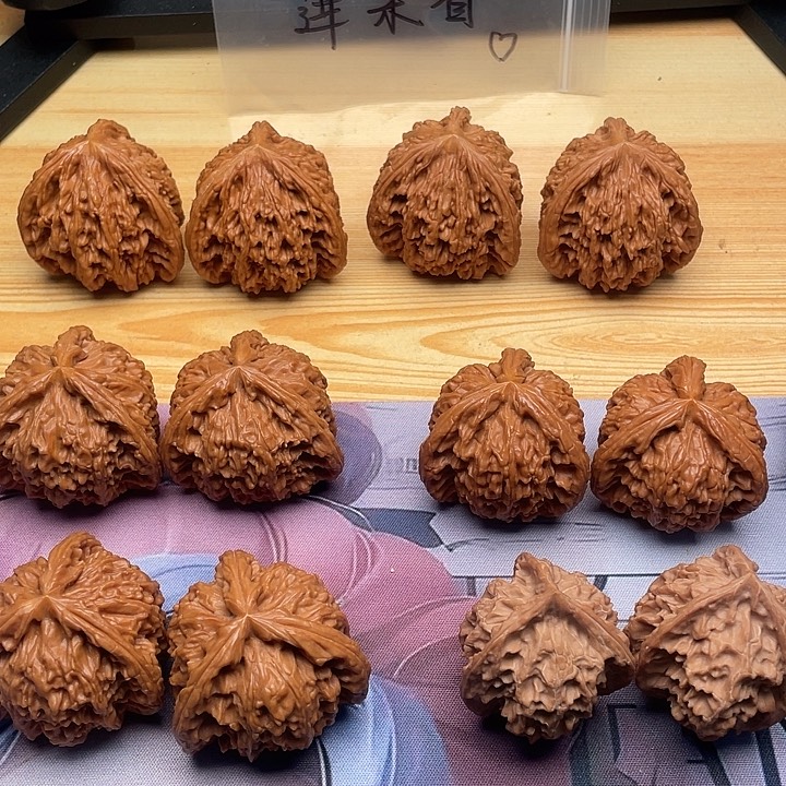 道***缘哈哈哈哈哈哈哈哈哈狗