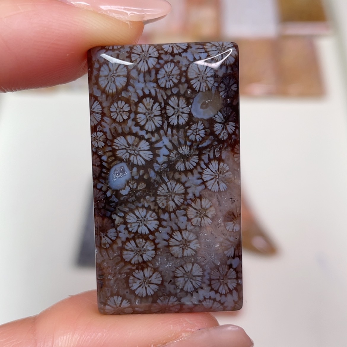 【闪购商品】未镶嵌吊坠(赠链)硅化玉