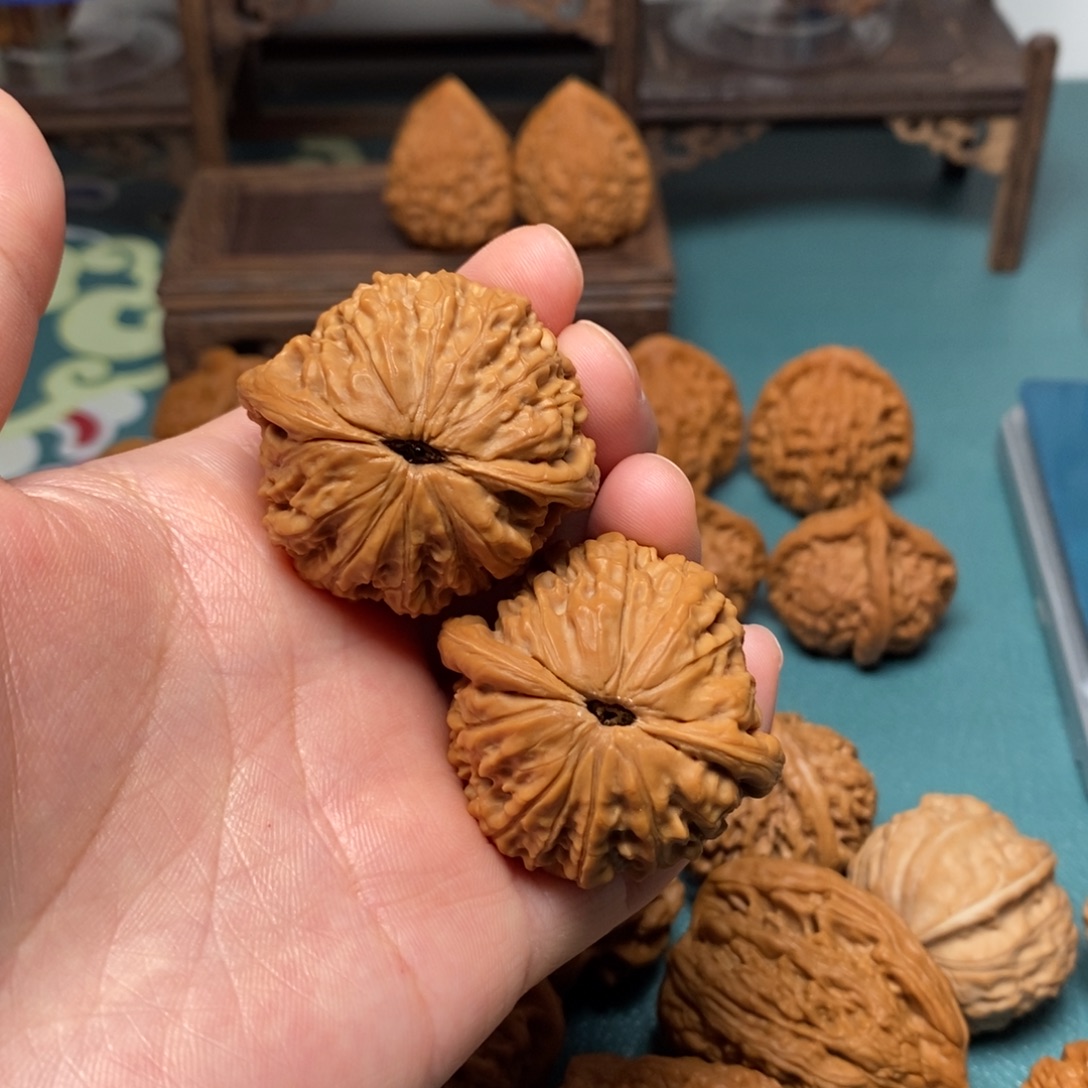 核桃40尺长生不老丹修