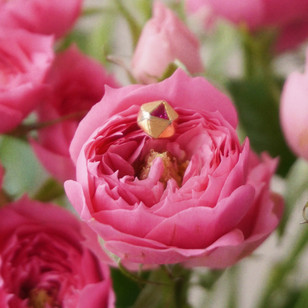 925银莫桑石耳饰 「山野玫瑰」七夕走心礼物热烈的爱独立大女主耳钉