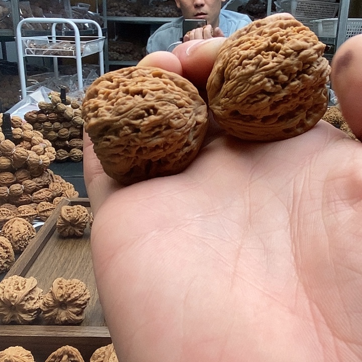 老***事大叶紫檀（黑酸枝木类）贪残凹的