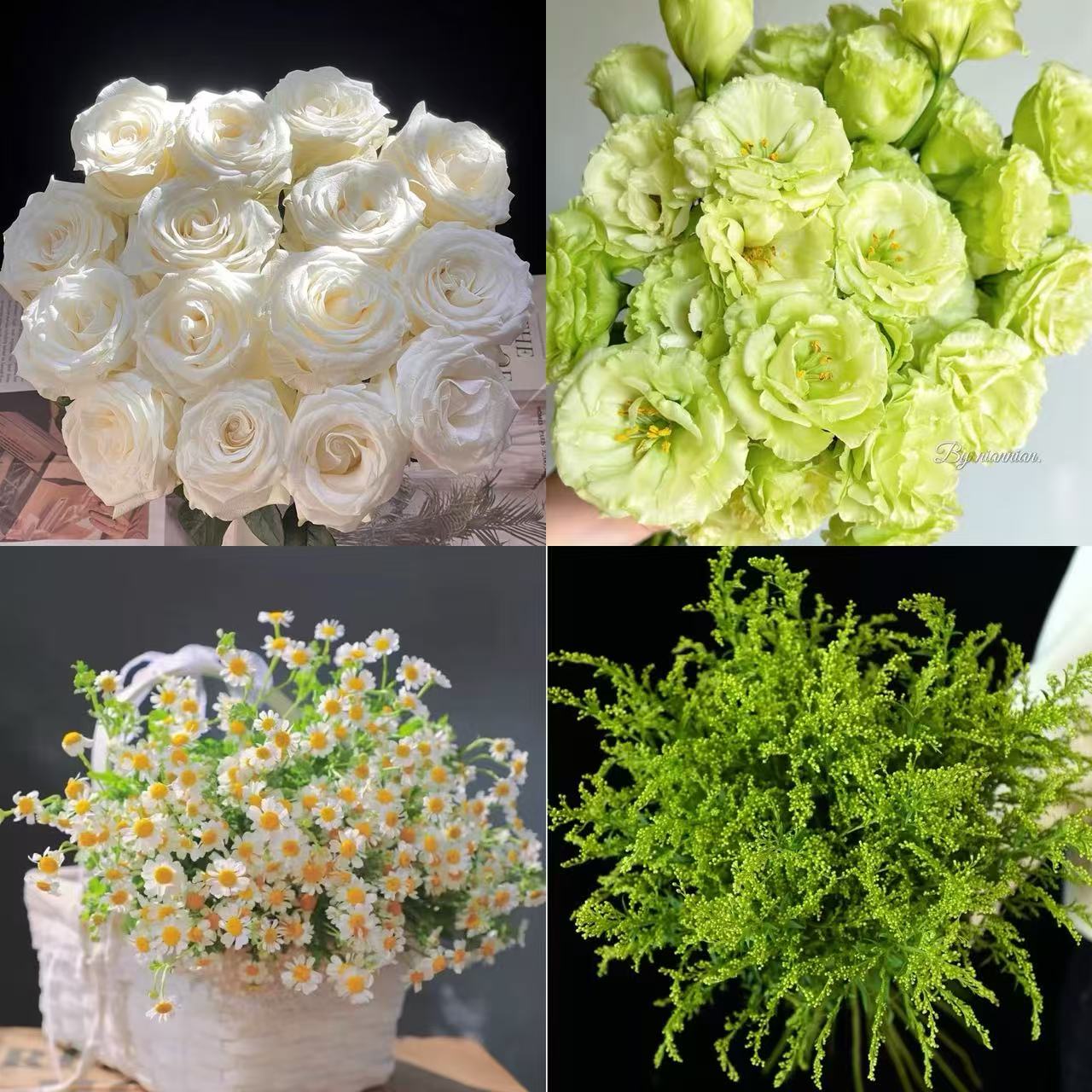 【沉沉专属】10枝白玫瑰+绿色洋桔梗200g+洋甘菊1扎+黄莺1扎