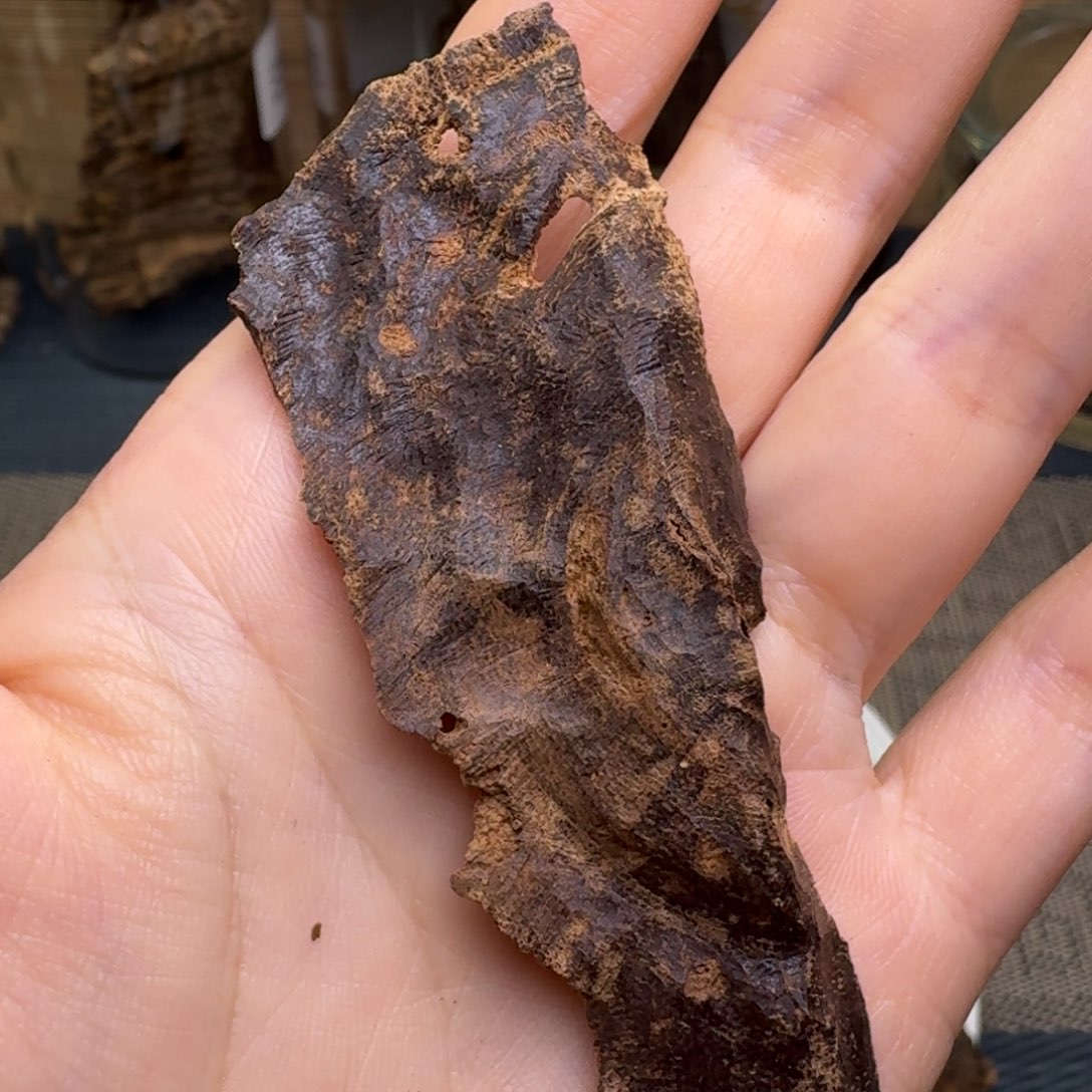 木海南尖峰岭黑油包壳3.1