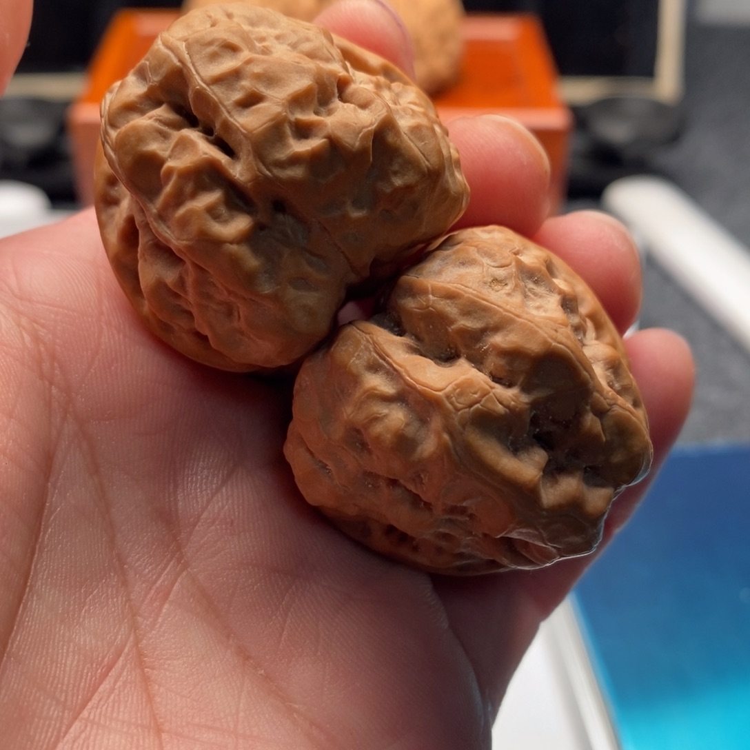 林***城好的我真的是太喜欢了