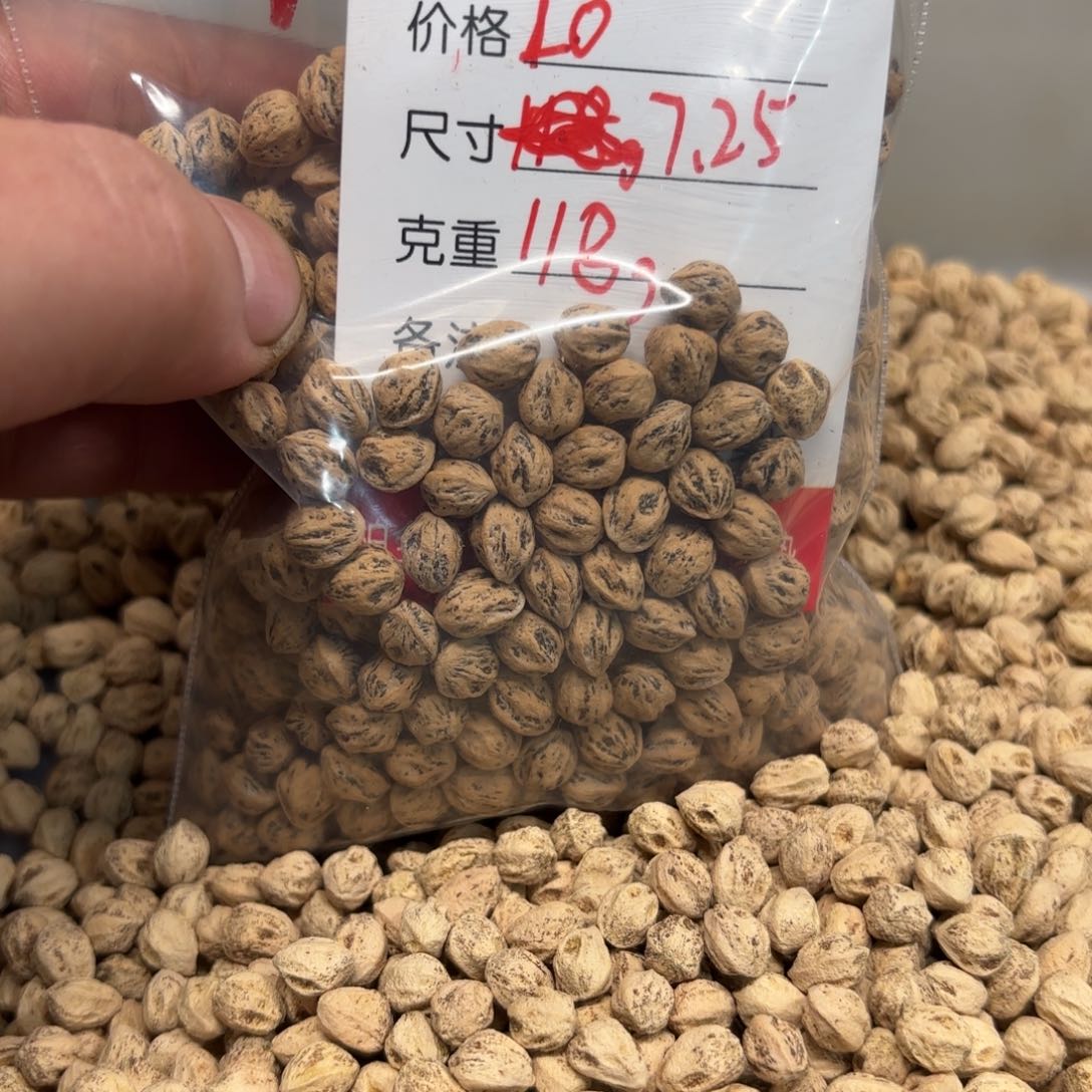 春*雪柏香籽散子 118 克散子