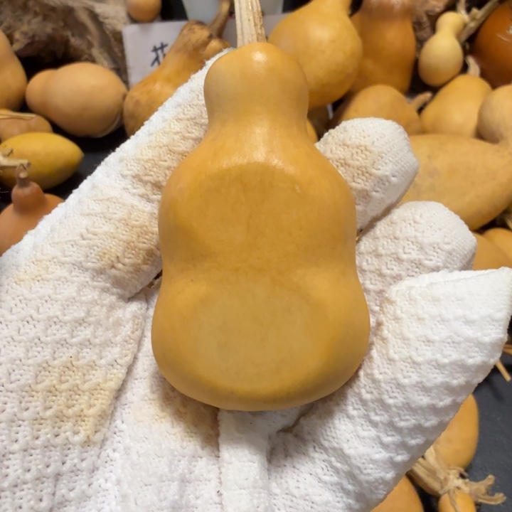 凹***）7666656665666667777788