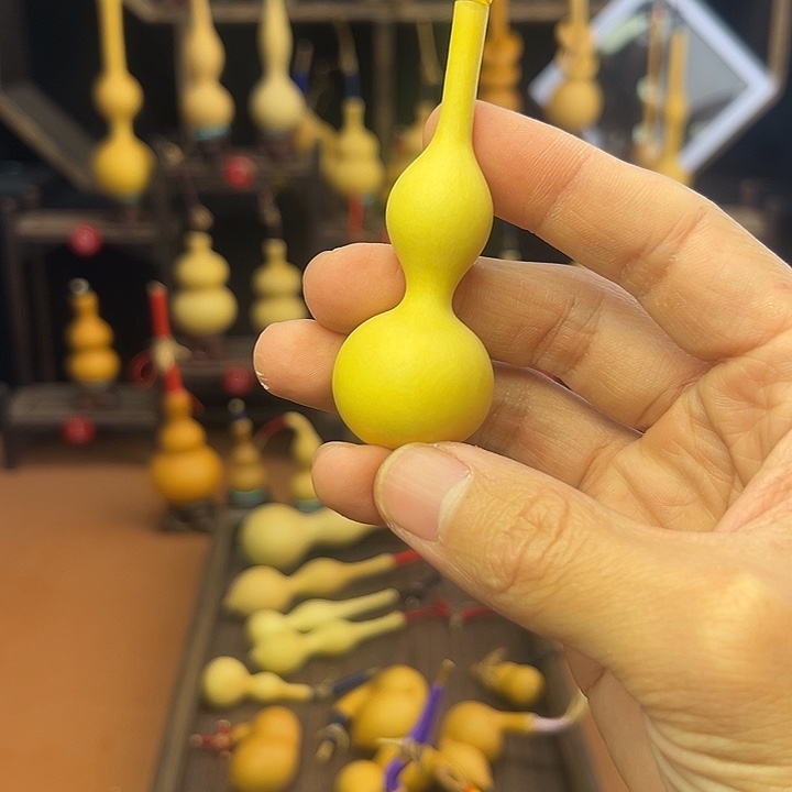 水***孙葫芦等多种颜色的花