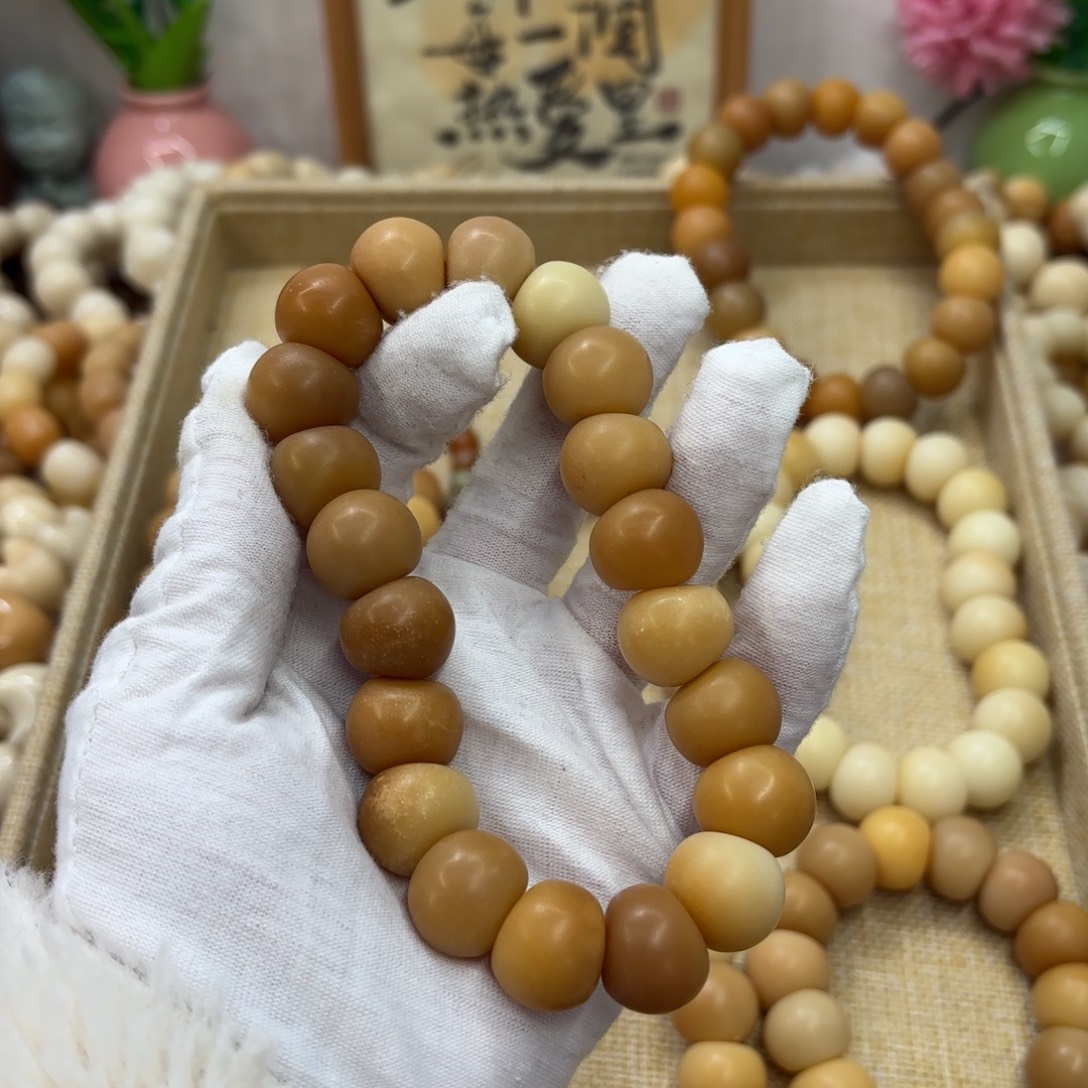 吊坠菩提根/象牙果17干磨瑕疵落地果肠788