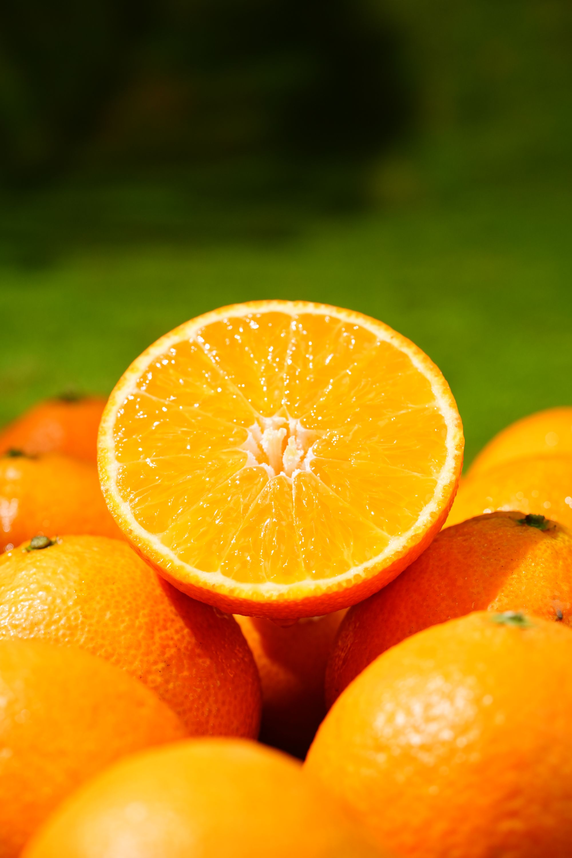 顺丰直发.广西爱媛果冻橙鲜甜爆汁当季新鲜水果