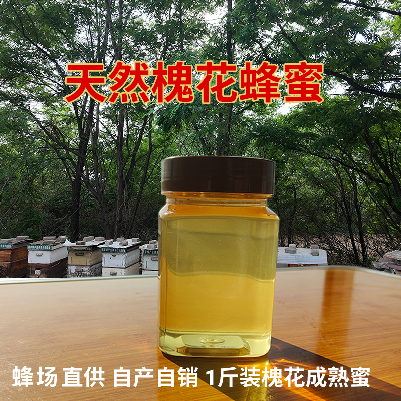 农家自产成熟槐花蜜纯正无添加野生正宗蜂蜜1斤装