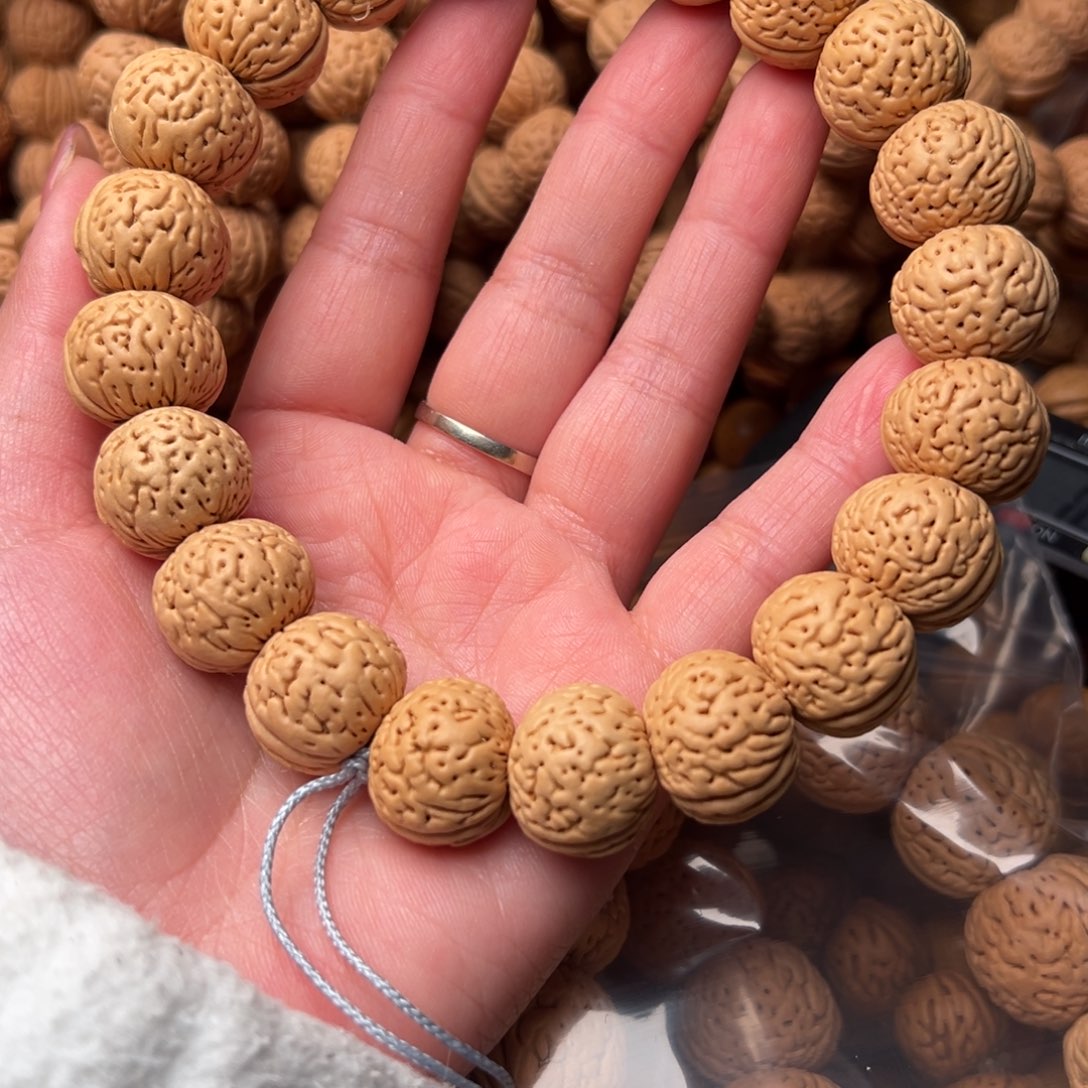 18尺寸苹果圆手持