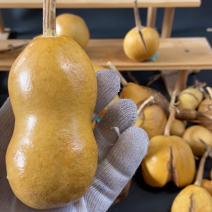 大*牛葫芦葫芦真的