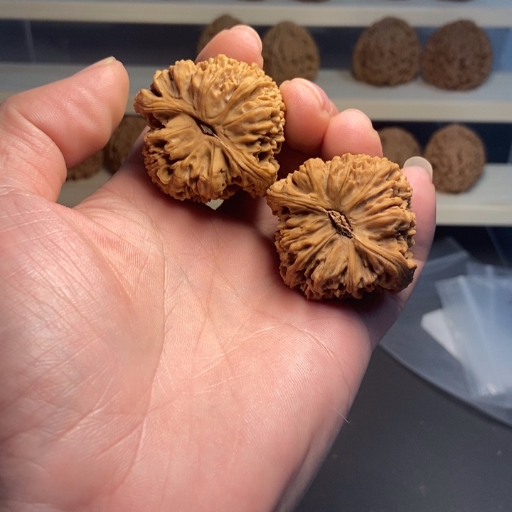 伟***9文玩核桃吊坠南疆石核桃