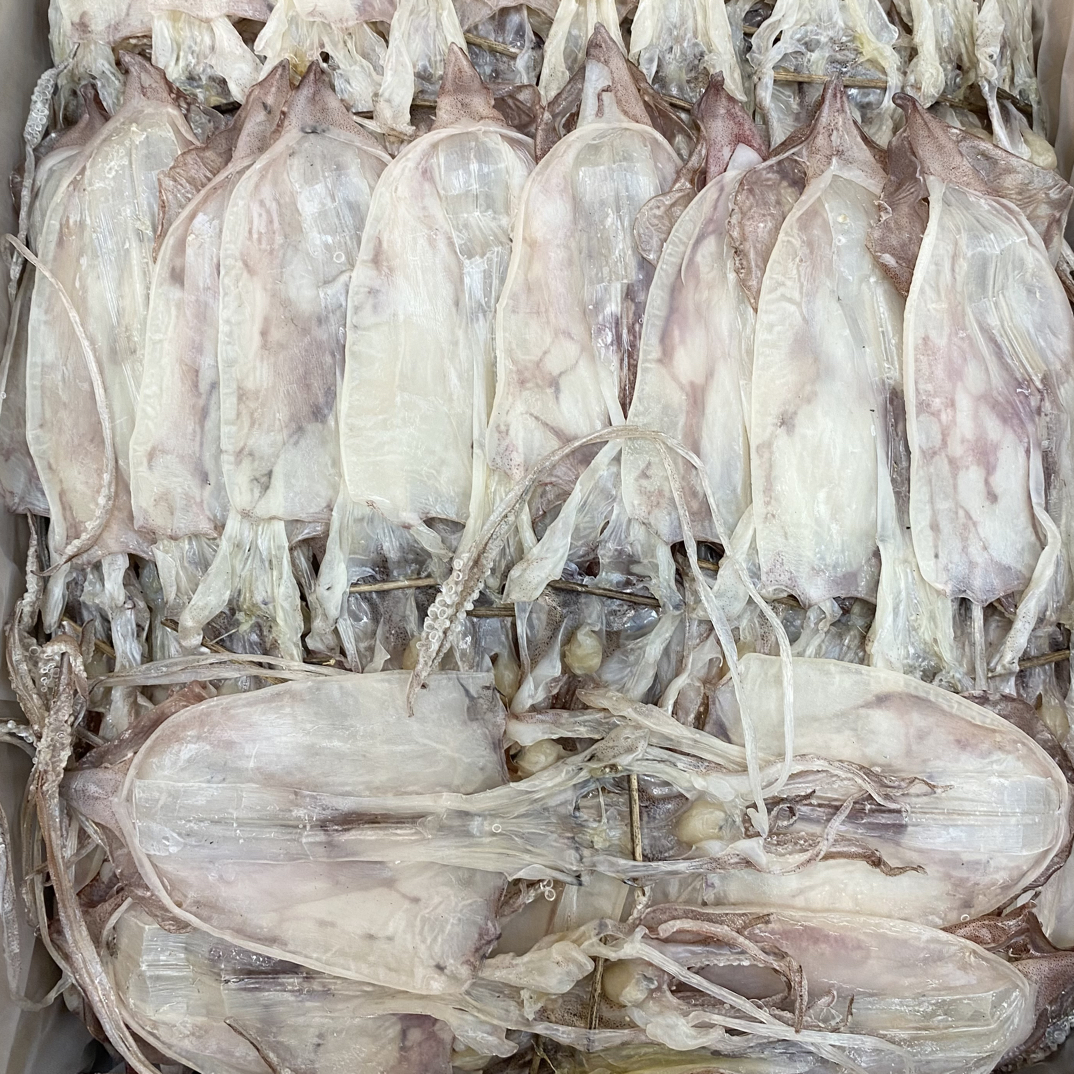 汕尾陆丰本港鱿鱼母 中号鱿鱼干 14只左右/斤 8成干