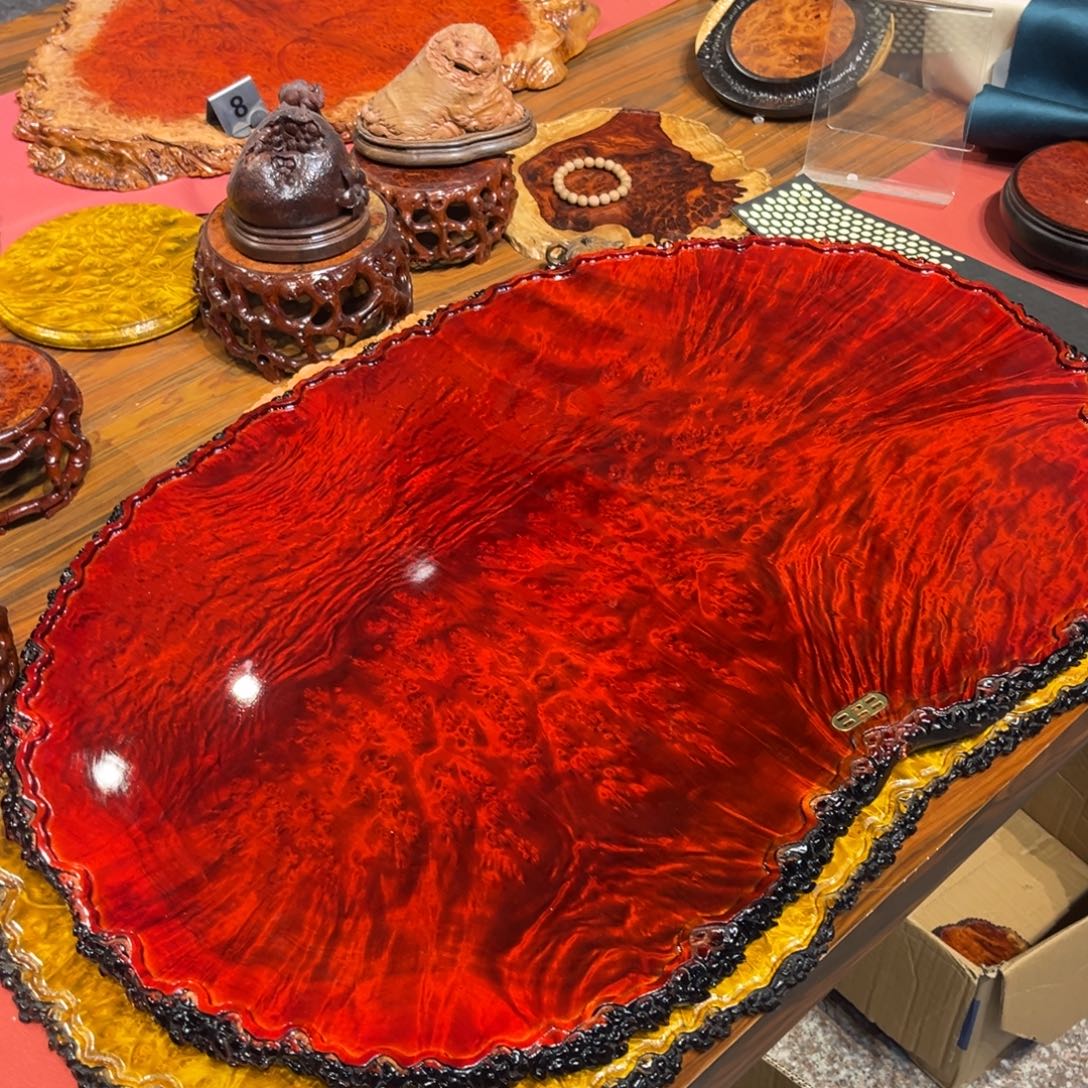 每***彩黄金樟茶盘来啊啦啦啦啦