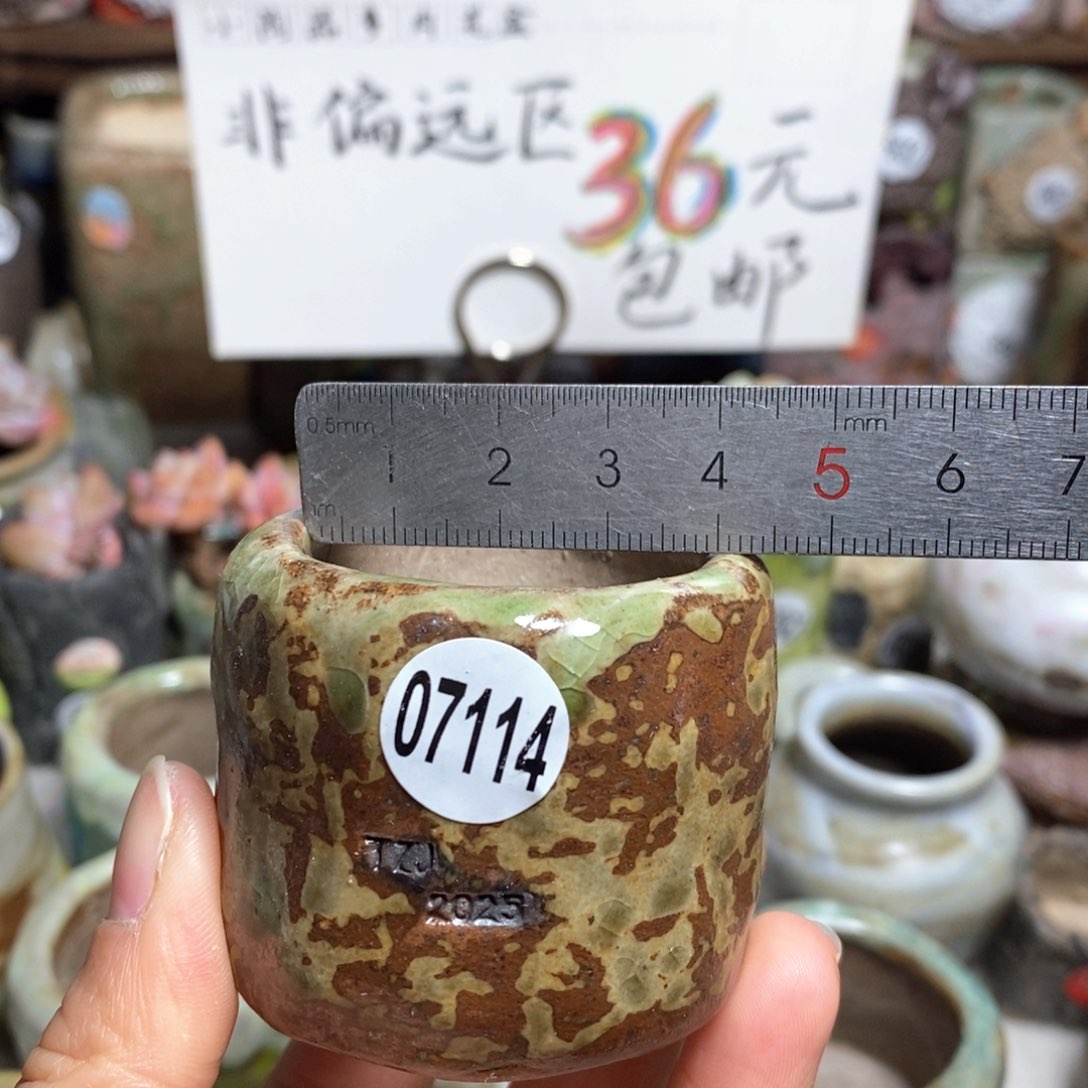 花盆拍3送一个小礼物