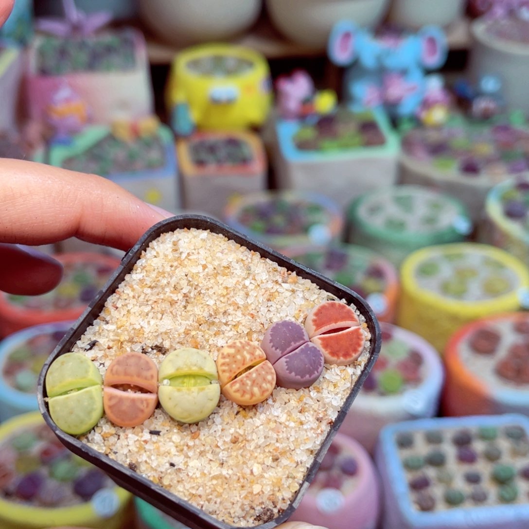 101。8585555558888888