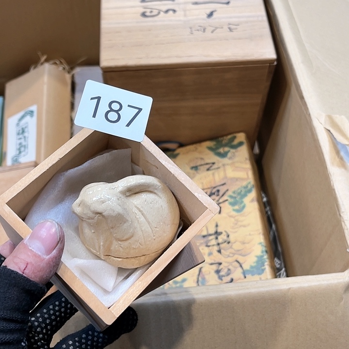 茶宠我们都在努力着改变着