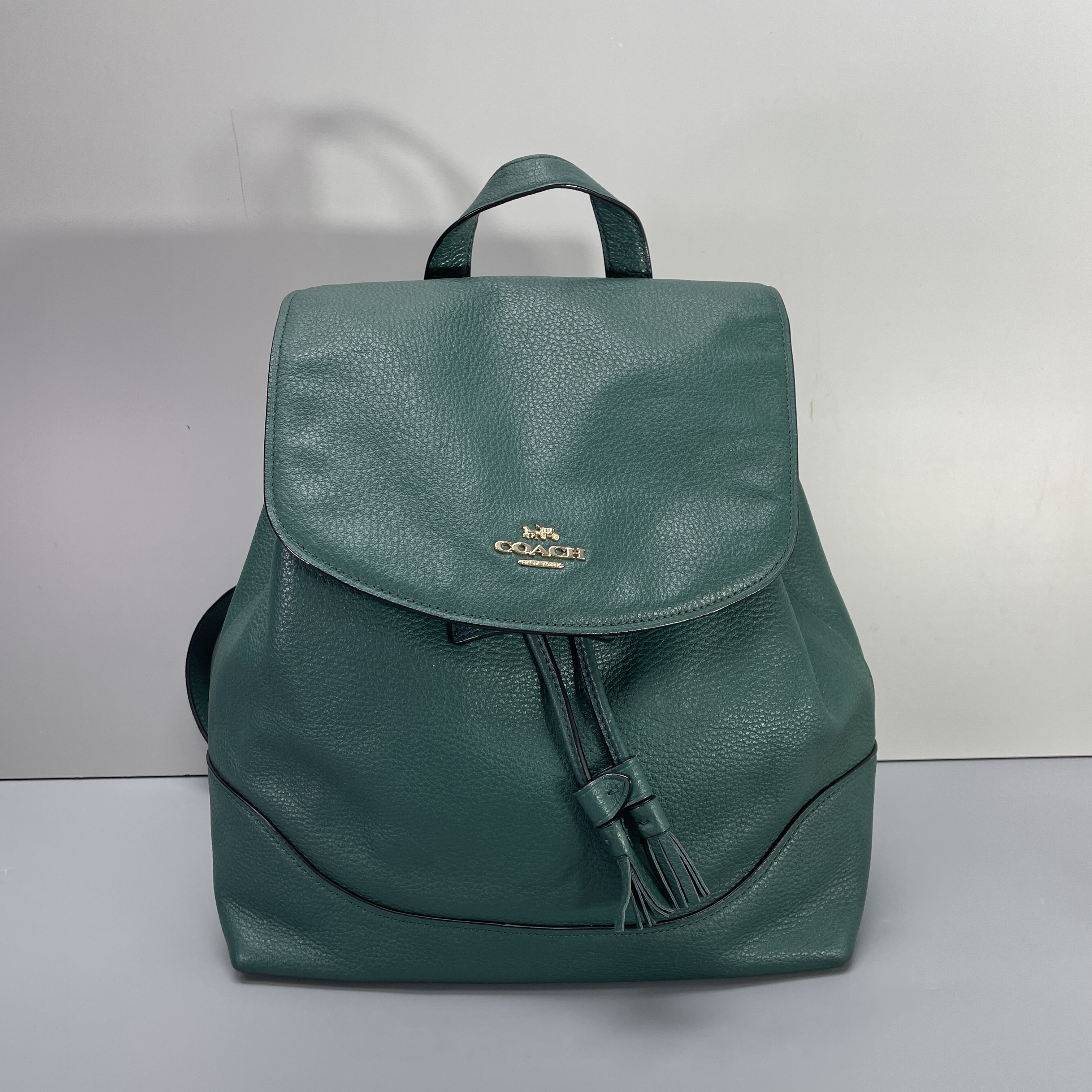 95新 COACH/蔻驰 绿色双肩包25*28*11cmE052501