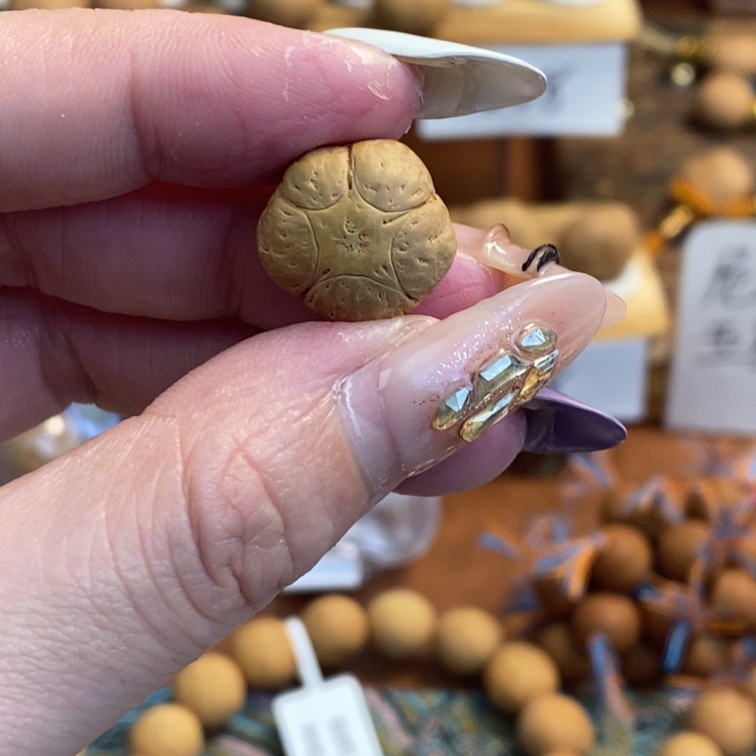 凤眼菩提吊坠16五星单颗