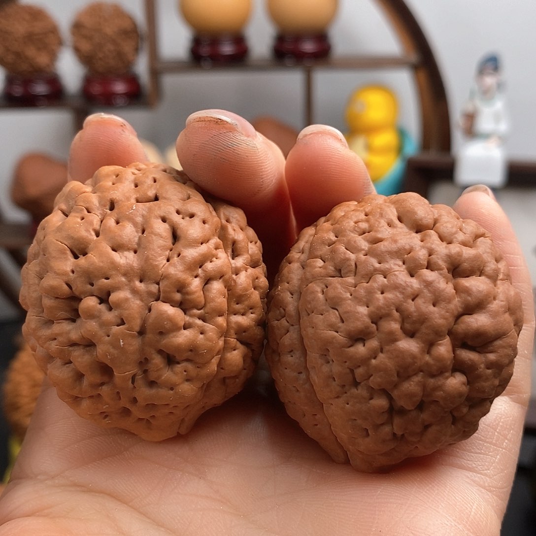 文玩核桃把件三瓣脑纹金刚练手4046