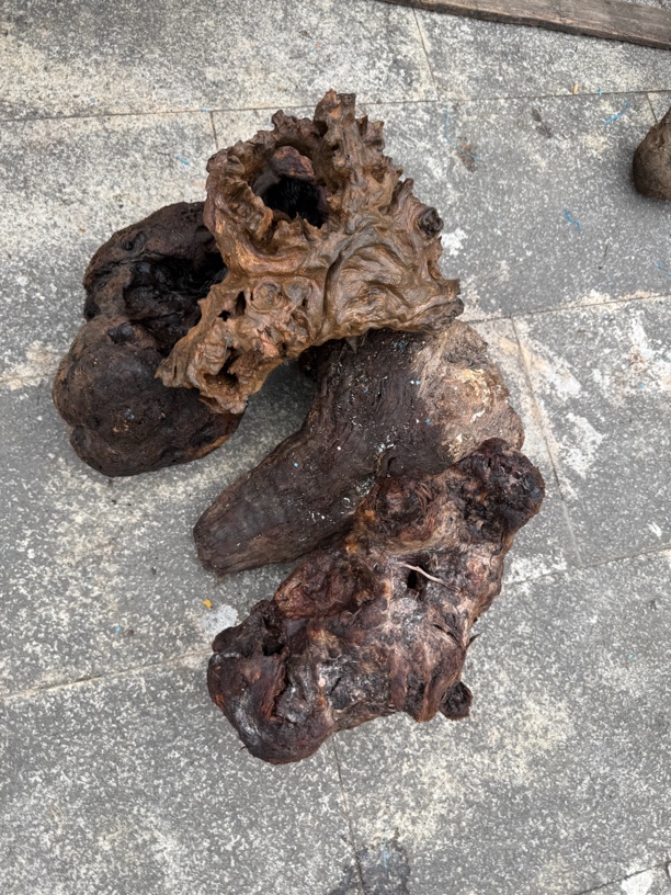 民间使用风化木阴沉木