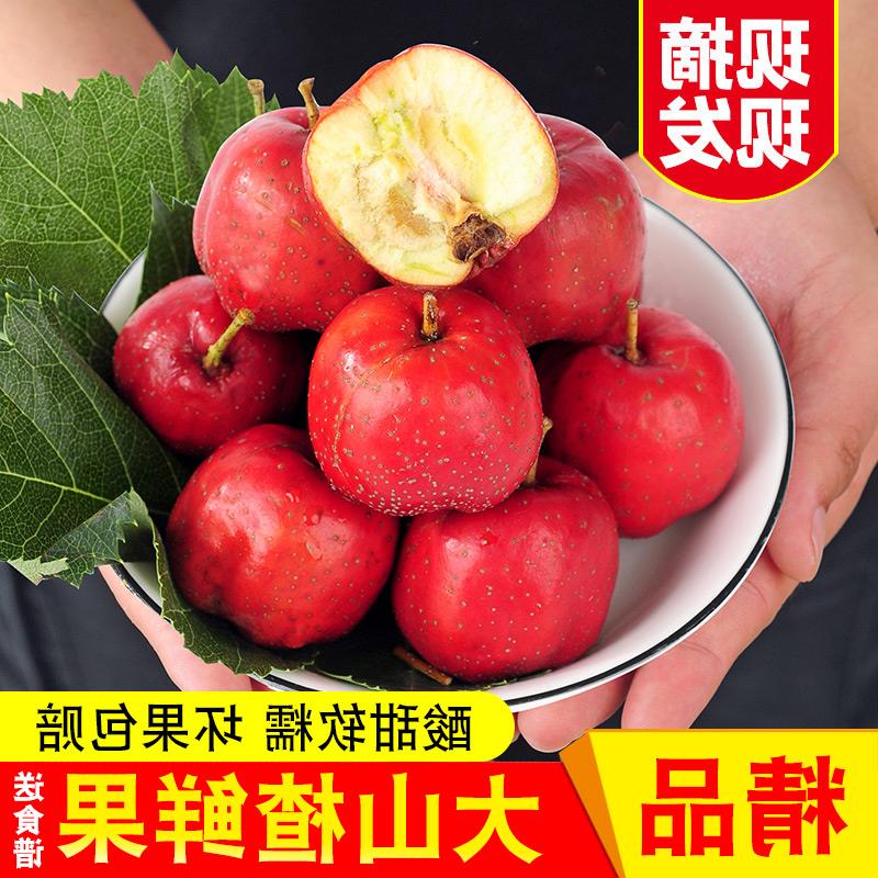 新鲜山楂果5斤装山楂鲜果山里红果批发新鲜大山楂干片冰糖葫芦用