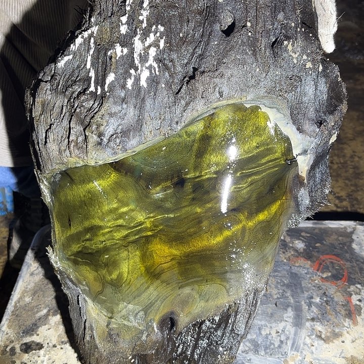 天***5金丝楠啊啊啊啊啊啊