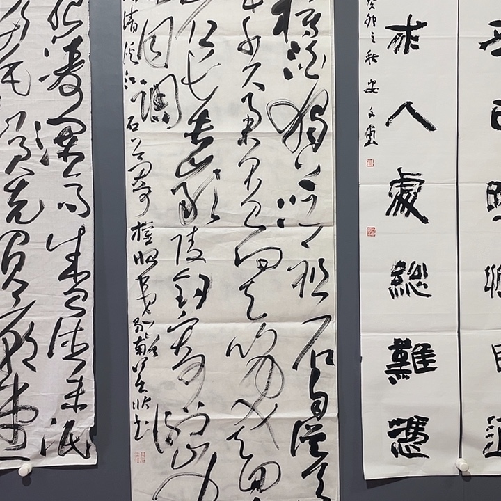 书法中书协会员作品