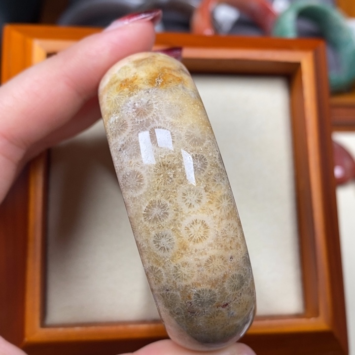 硅化珊瑚（珊瑚玉）手镯未镶嵌54.9