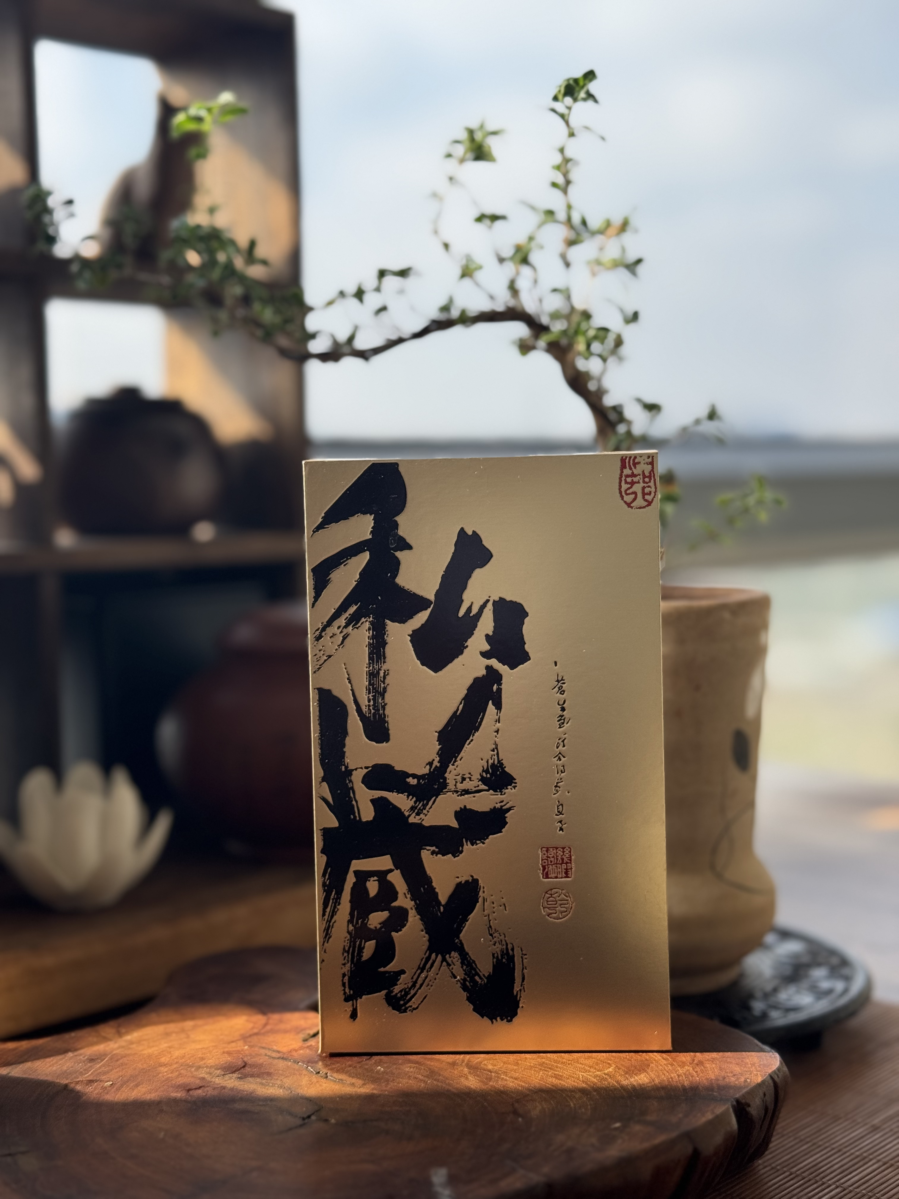 普洱生茶 （掌柜力鉴）48克品鉴装 铜箐河老曼峨南糯山半坡老寨 