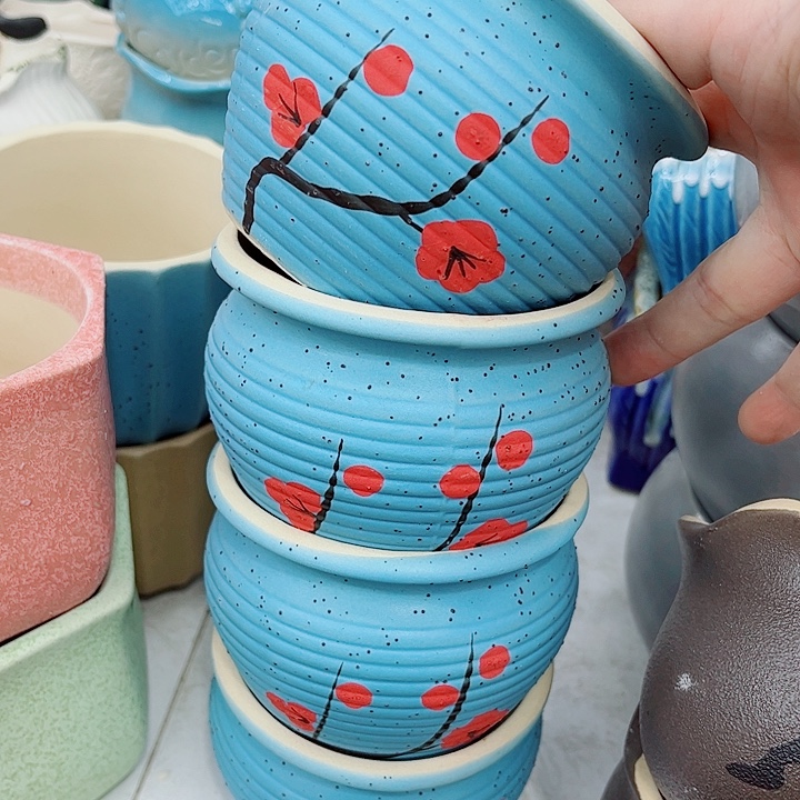 多肉植物陶瓷花盆