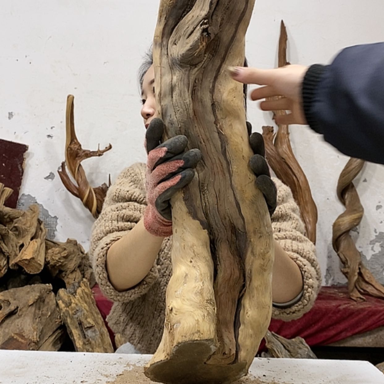 【闪购商品】柏木t****寺我们都是好孩子