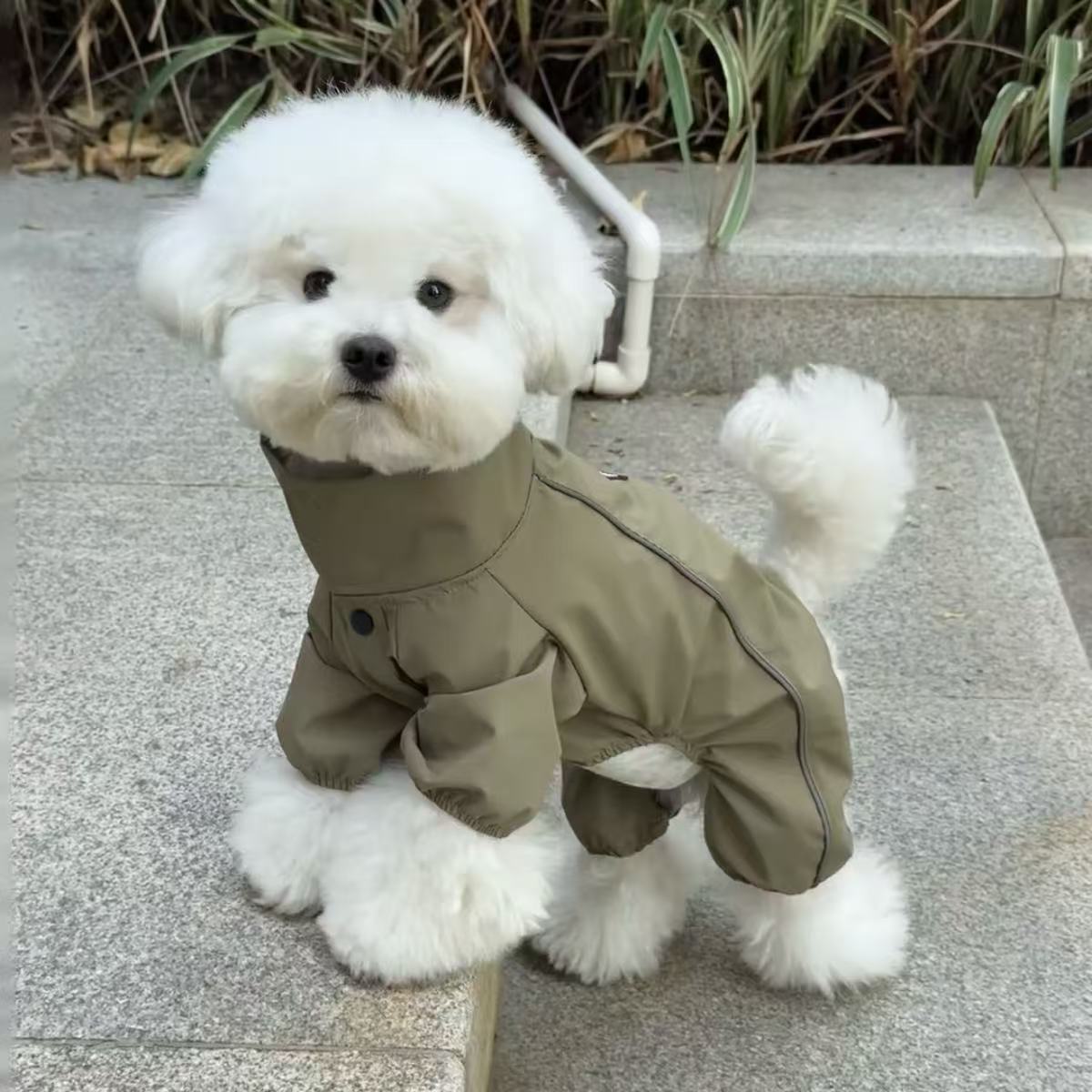 狗狗衣服春秋新款冲锋衣洋气帅气宠物比熊法斗泰迪小型犬