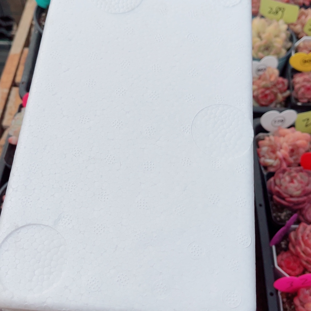 M***手风靡园艺大号保温箱链接