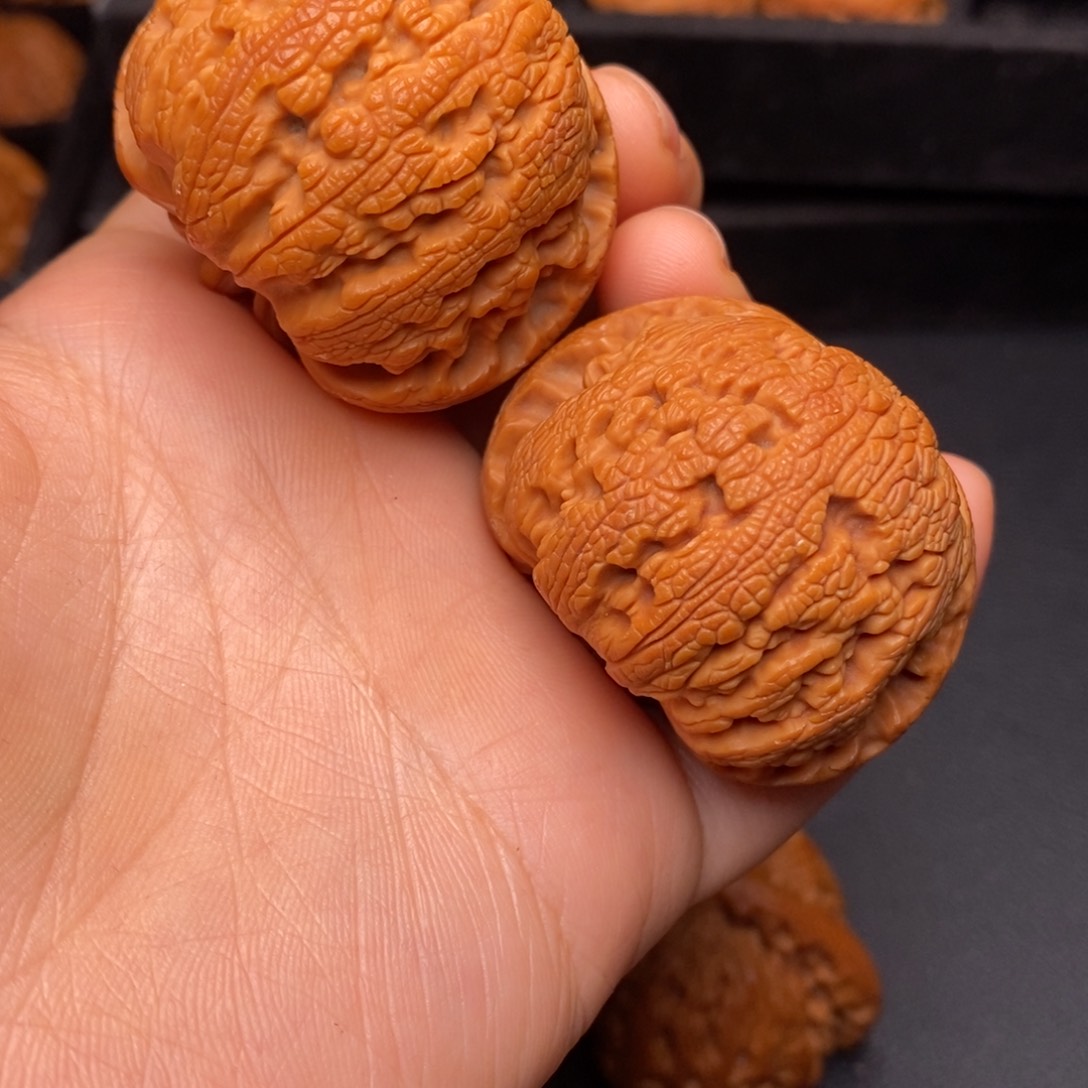 秦岭野生文玩核桃