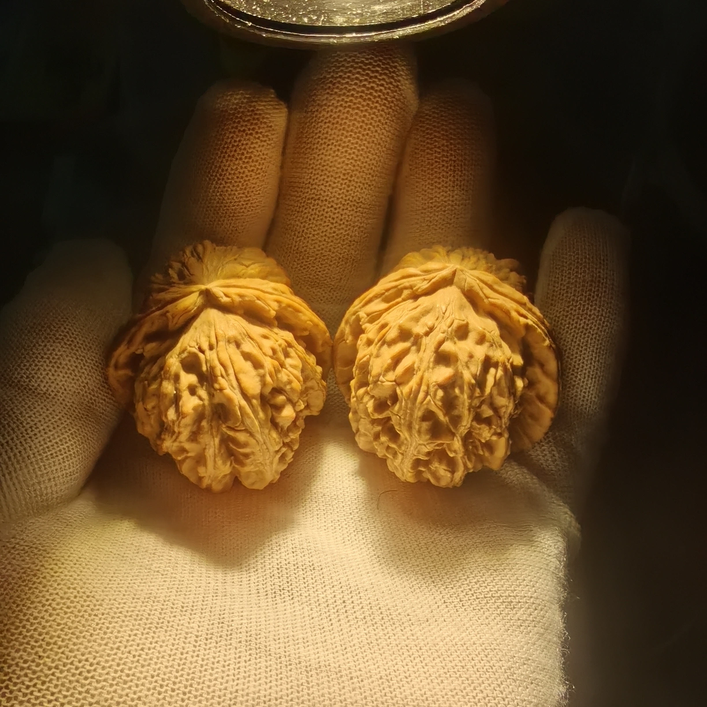 正三角白狮子头全品核桃无修一般对通拍32-38尺三角白狮子头