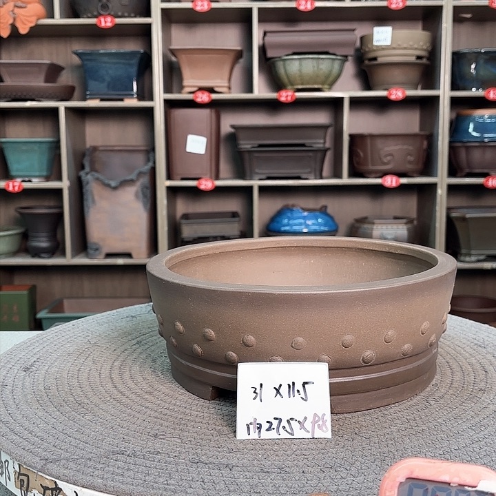 紫砂花盆紫砂的花也太