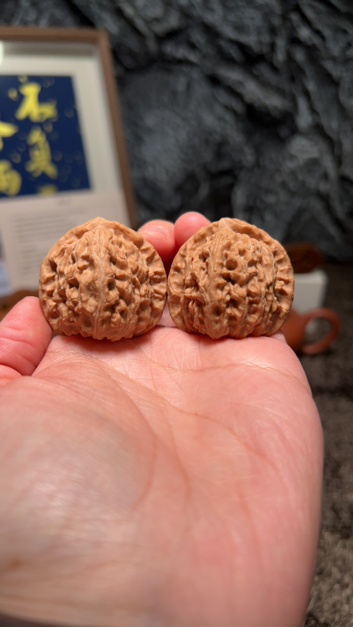 文玩核桃 延庆山地白狮子6378号37.5尺寸