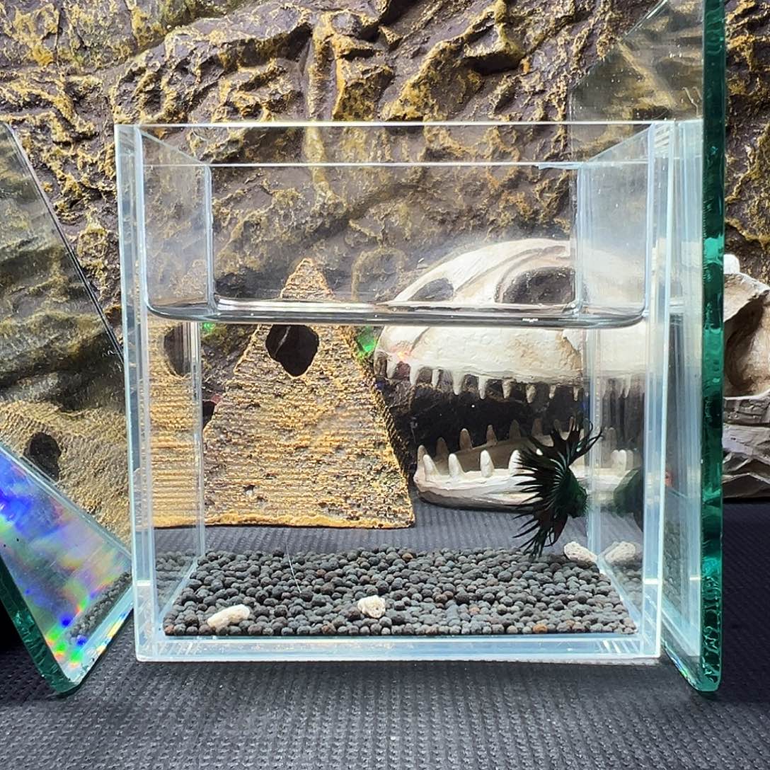 斗鱼精品精品精品精品