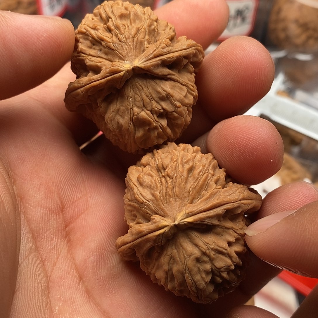 文玩核桃把件白狮子