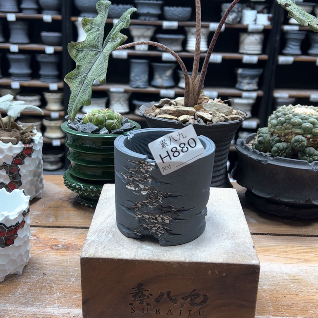 素八九陶瓷内口7.5高8熊**师