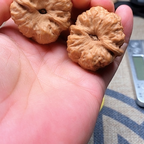 文玩核桃吊坠蛤蟆头好看