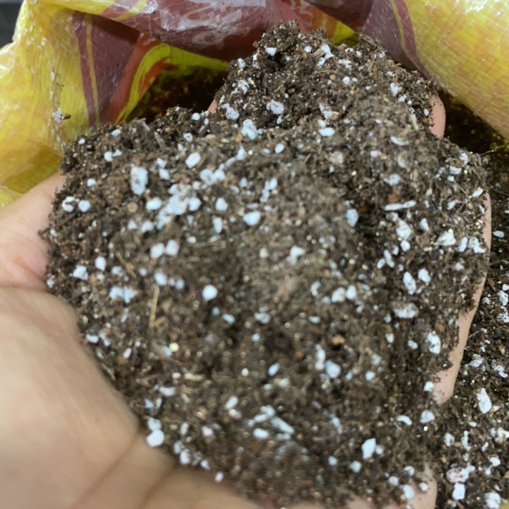 仙人球基地自用种植土