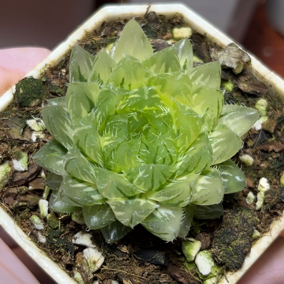 恭喜发财大吉大利839