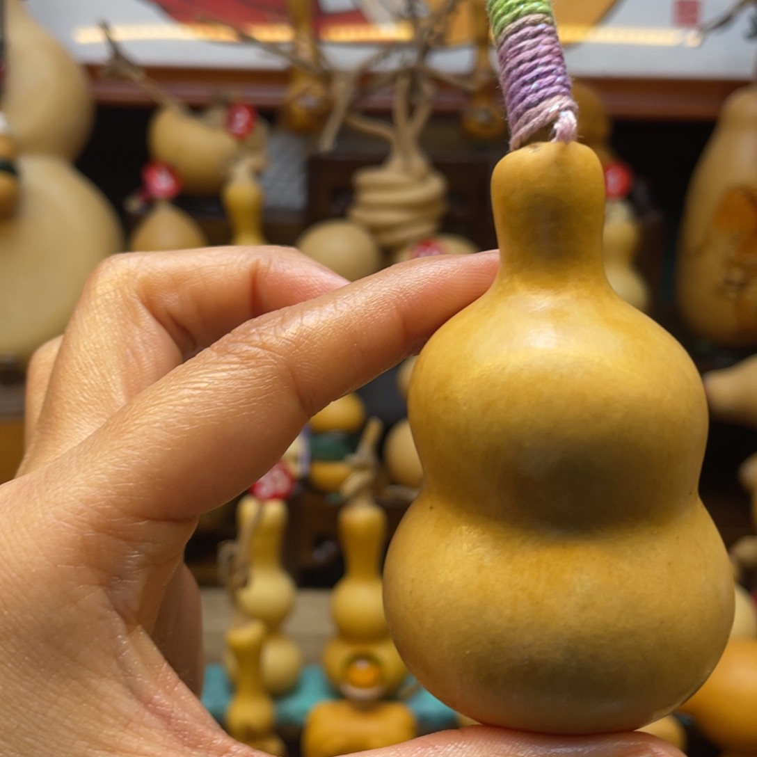 星***灯葫芦等经济林木的分布情况及分布情况