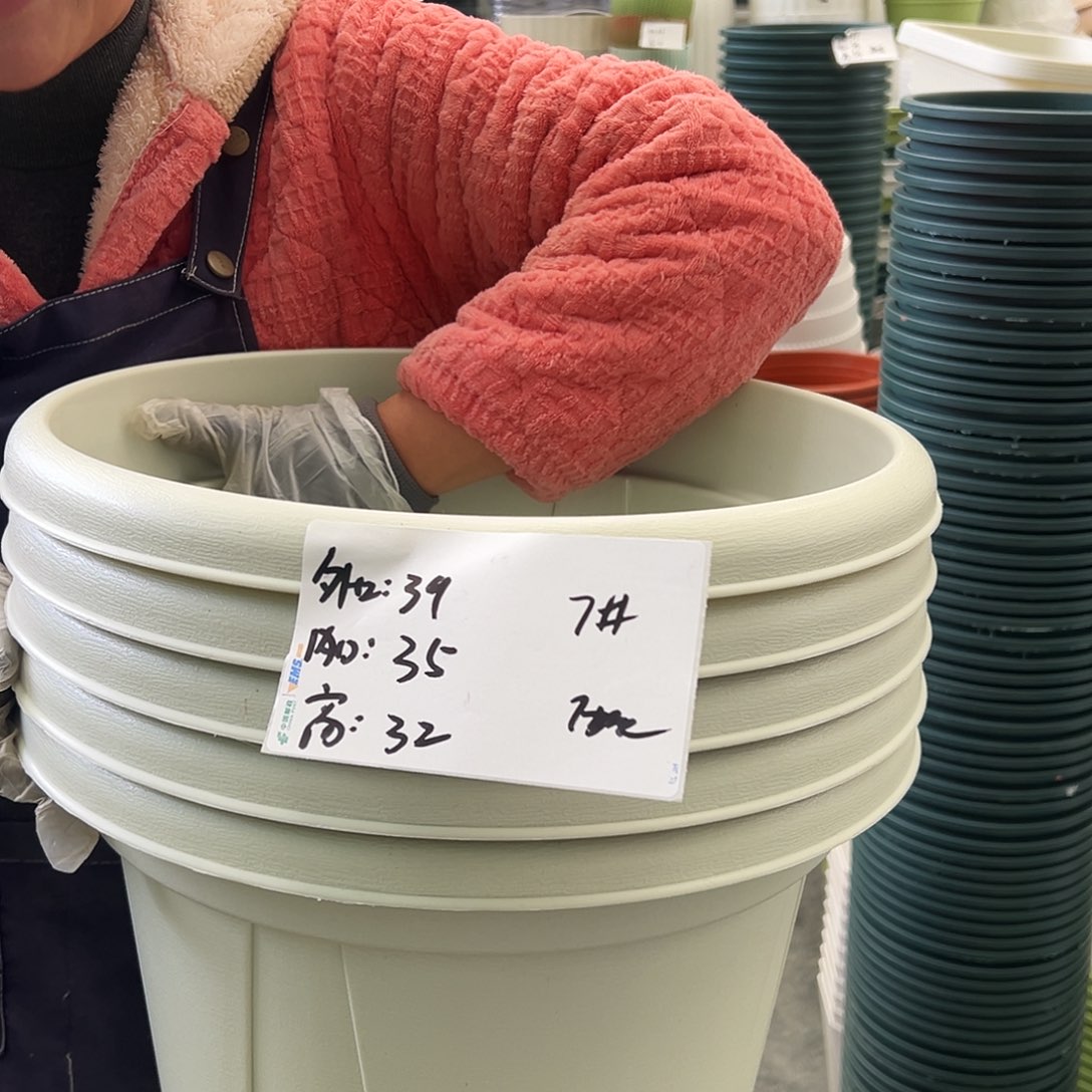 青山盆7#米白色5个无托