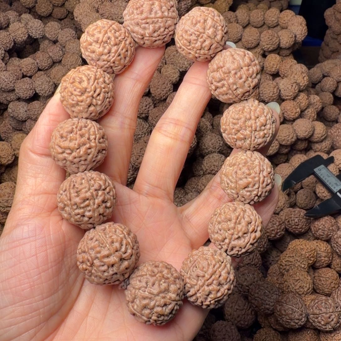 金刚菩提手串8瓣卡22尺，35号