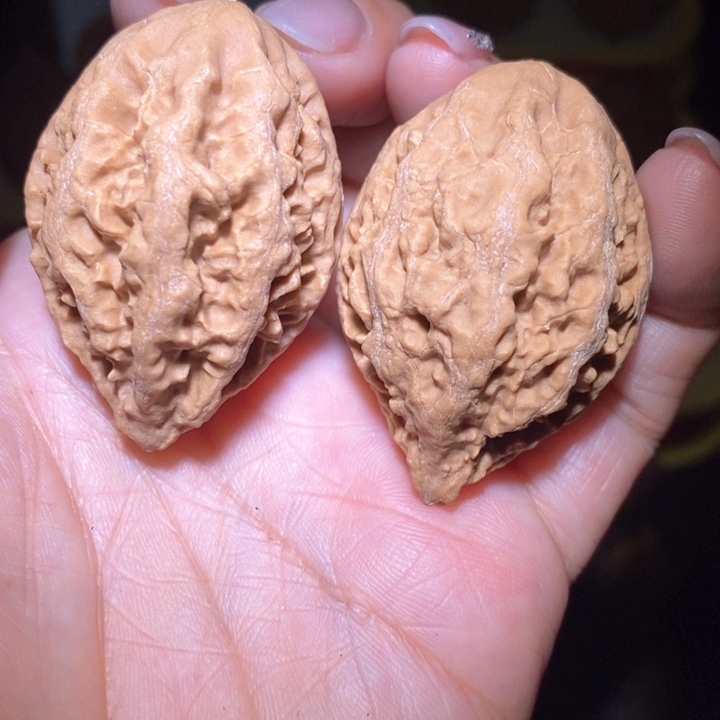 文玩核桃把件东北野生楸子小美27