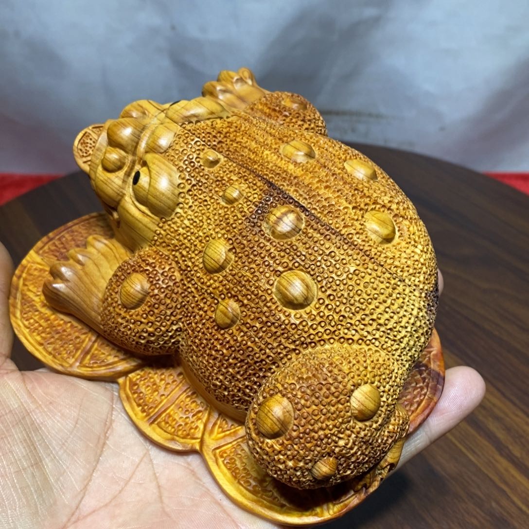 成***禅柏木（崖柏）崖柏呱呱